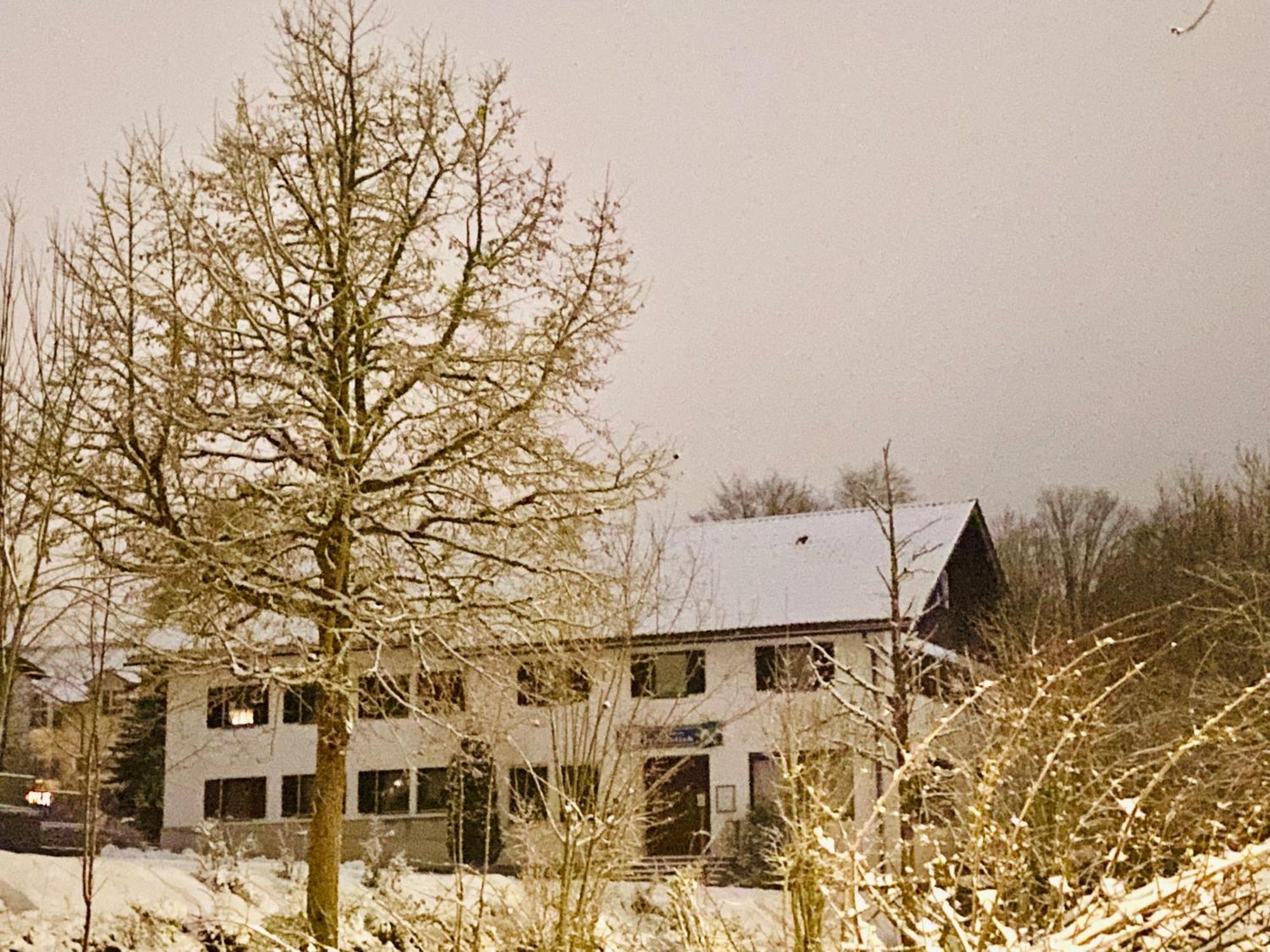 Pension Waldblick Spiegelau Exterior photo
