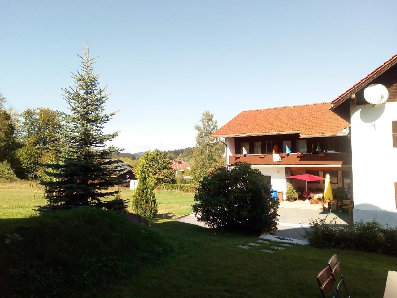 Pension Waldblick Spiegelau Exterior photo